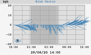 Wind Vector