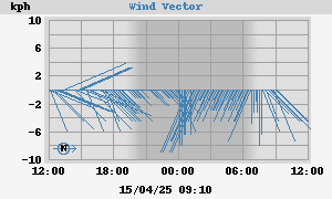 Wind Vector