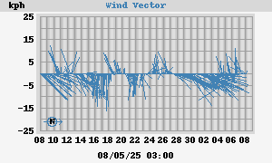 Wind Vector