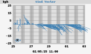 Wind Vector