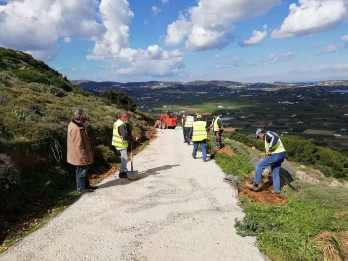 Αναδάσωση λόφου με γρύζω νερό από Βιολογικό Καθαρισμό